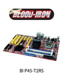 DFI blood iron (BI) P45-T2RS